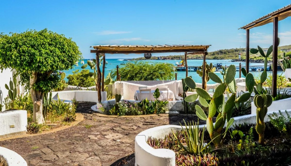 Casa Opuntia Image 7