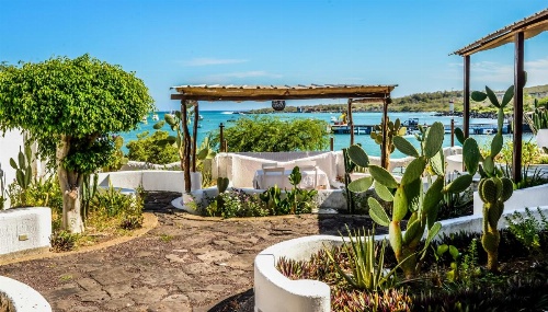 Casa Opuntia image 7